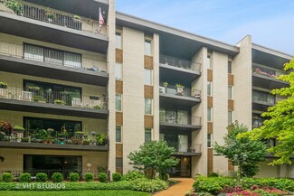 410 Ashland Ave Unit 3B, River Forest, IL 60305