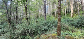 1400 E Jensen Rd, Shelton, WA 98584