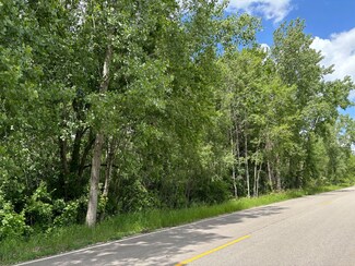 V/L Peach Ave, Grant Township, MI 49327