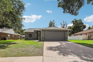 2934 Forest Reserve Place, Seffner, FL 33584
