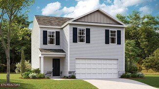 9571 River Cane Rd, Mascot, TN 37806