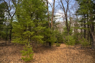 Lot 188 18th Ln, Strongs Prairie, WI 53934