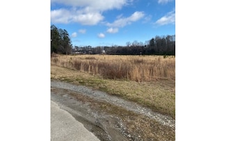 4.27 Boardtown Rd, Blue Ridge, GA 30513