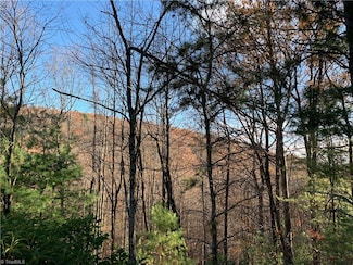 TBD (Lot 1) Dugger Firetower Rd, Lenoir, NC 22864