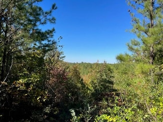 0 Hwy 140 Unit 22924343, Rydal, GA 30171