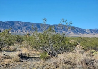 0 0 Unit SB25112855, Pinon Hills, CA 92372