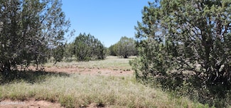 364 & 363 Big View, Ash Fork, AZ 86320