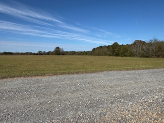 Dani Ln, Mathews, AL 36013