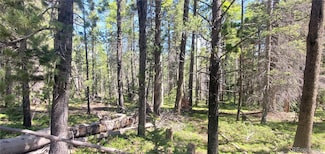 Lot 2914 Forbes Rd Unit 2914, Sangre de Cri, CO 81133