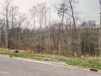 Lot 30 Bridgewater Blvd, Morristown, TN 37814