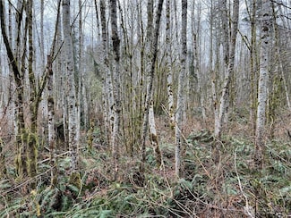 3 XX Scenic Dr NE, Poulsbo, WA 98370