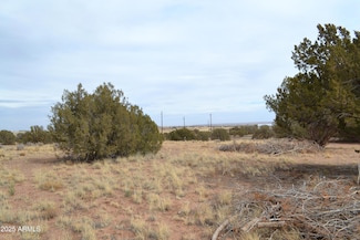 Lot 020D E 24th St N Unit 20D, Snowflake, AZ 85937