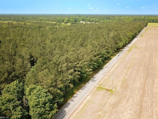 25+AC Lebanon Church Rd, Jarratt, VA 23867