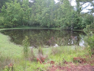 Land Fill Rd, Newton, MS 39345