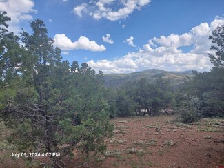 493 Loveland Rd, South Fork, CO 81154