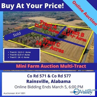 Tract C County Road 577, Powell, AL 35986