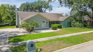 2505 Buckhorn Run Dr, Valrico, FL 33596