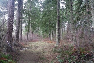12837 Hubbard St SE, Rainier, WA 98576