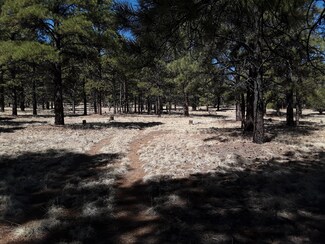 0 Little Bear Rd Unit 990168, Grants, NM 87020