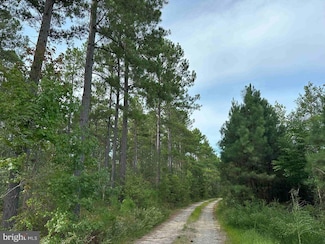 0 Hustle Rd, Hustle, VA 22476