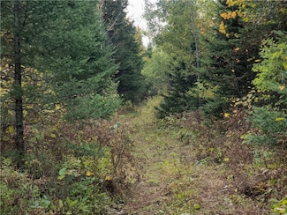 72429 Bear Lake Rd, Butternut, WI 54514