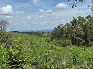 000 Marsh Loop, Smithville, OK 74957