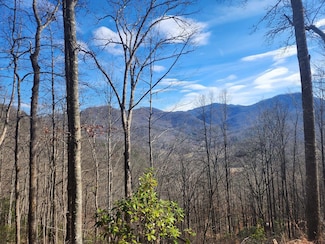 TR 1,2 Long & Winding Rd, Sylva, NC 28779