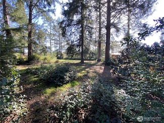 1205 Joe Johns Rd, Ocean Park, WA 98640
