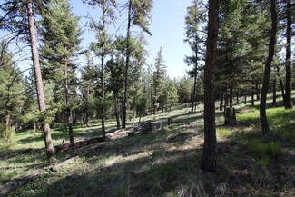 Nhn W Combest Creek Rd, Plains, MT 59859