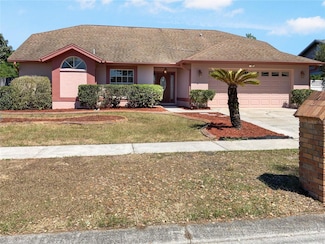 649 Rapid Falls Dr, Brandon, FL 33511