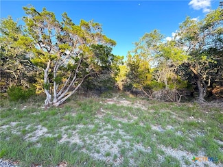 1191 Hallmark, Canyon Lake, TX 78133