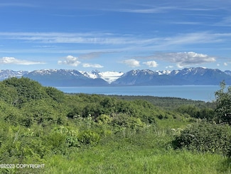 57901 Glacier View Rd, Fritz Creek, AK 99603