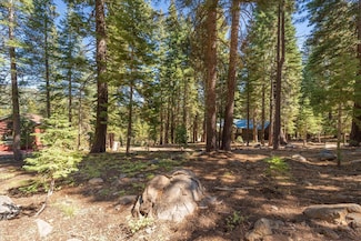 14007 Pathway Ave, Truckee, CA 96161
