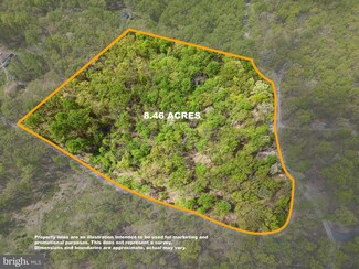 0 Cliff Ln & Piney Ridge Ln, Bluemont, VA 20135
