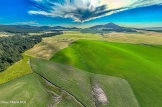 783 Lot D Old Mills Rd, Desmet, ID 83824
