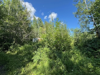 40a Bridgie Rd, Northome, MN 56661