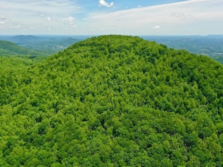 Off Jeters Chapel Rd, Vinton, VA 24179