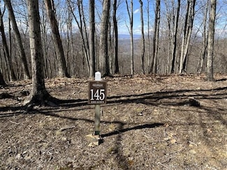 Lot 145 Withrow Landing, Caldwell, WV 24925