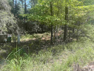 34301 Senita Dr, Brookeland, TX 75931