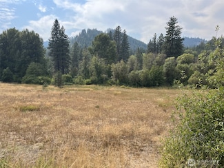 76 Hinthorne Ln, Leavenworth, WA 98826