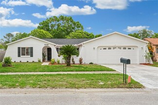 12161 Shadow Ridge Blvd, Hudson, FL 34669