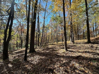 00 Stover Creek Cove, Blue Ridge, GA 30513