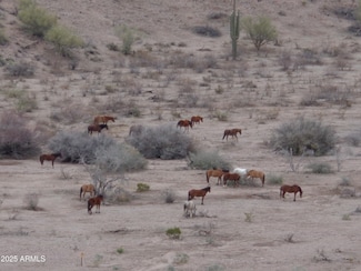 Lot 13-F E Overdrive Unit 13-F, Goldfield Ranch, AZ 85264