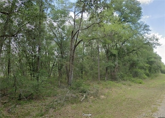 719 E Byrd Loop, Citrus Springs, FL 34434