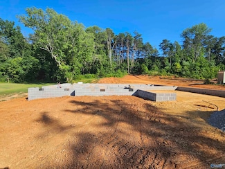 2203 Godfrey Ave SE, Fort Payne, AL 35967