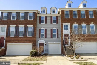 22277 Rampsbeck Terrace, Ashburn, VA 20148