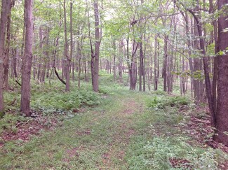 -- Helixville Rd, Schellsburg, PA 15559