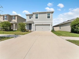 17037 Blister Wing Dr, Wimauma, FL 33598