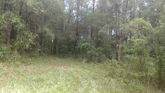 0 N Us 221 Hwy Unit 283016, Perry, FL 32347