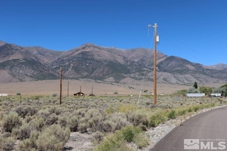 339 Gillman Springs Dr Unit 60, Austin, NV 89310